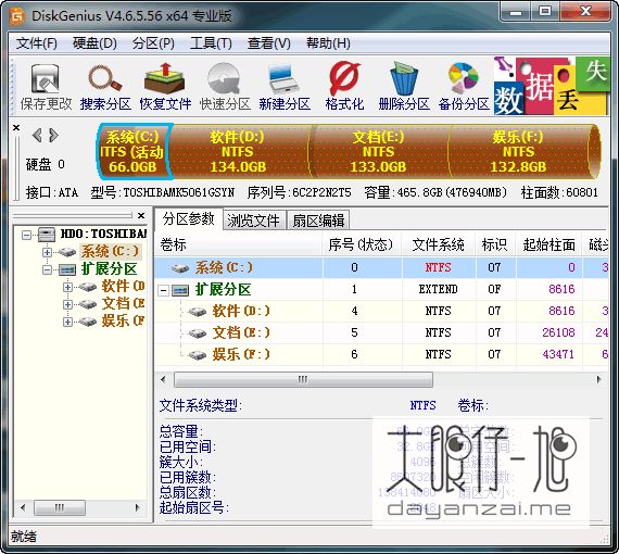 专业磁盘管理软件 DiskGenius Pro 中文多语特别版