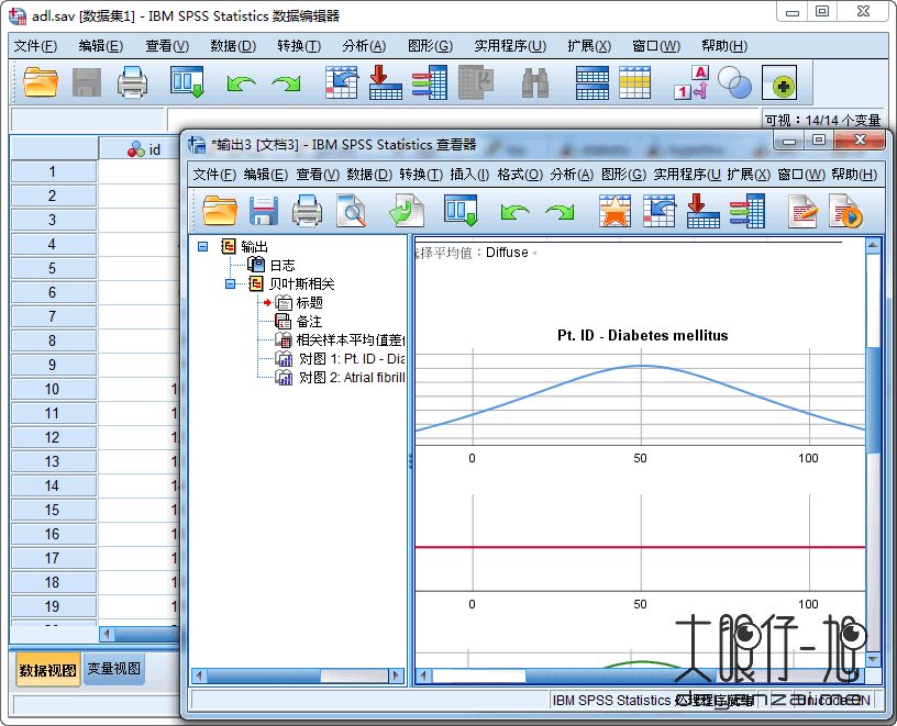 IBM SPSS Statistics 25.0 HF001 中文多语特别版