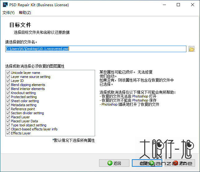  Photoshop PSD 文件修复工具 PSD Repair Kit 中文版