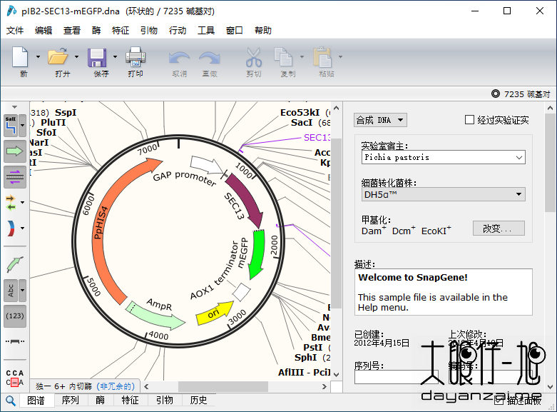 生物分子 DNA 序列分析软件 SnapGene 中文版