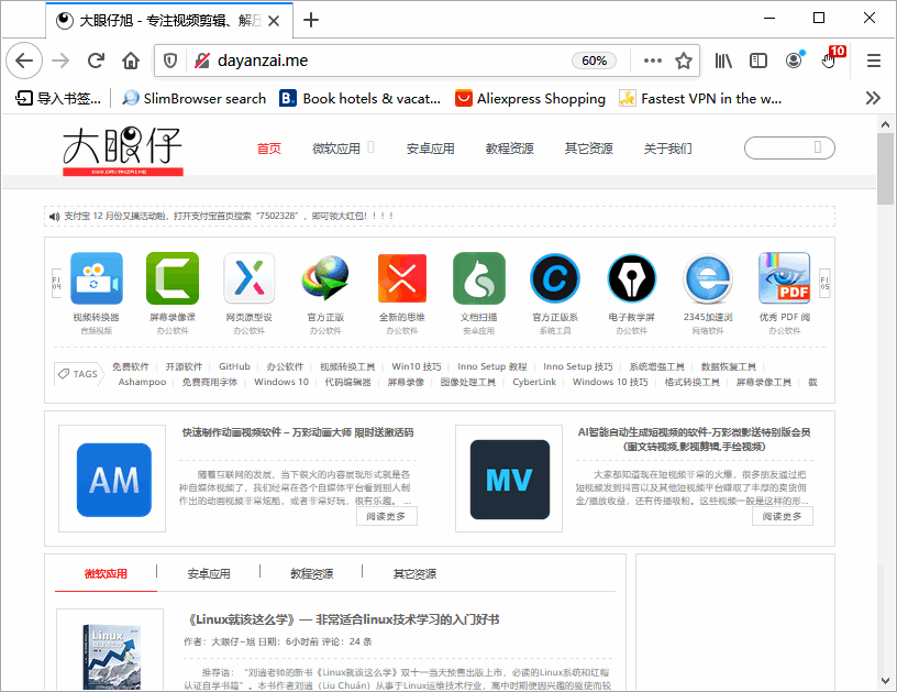 风之影浏览器 SlimBrowser 中文多语免费版