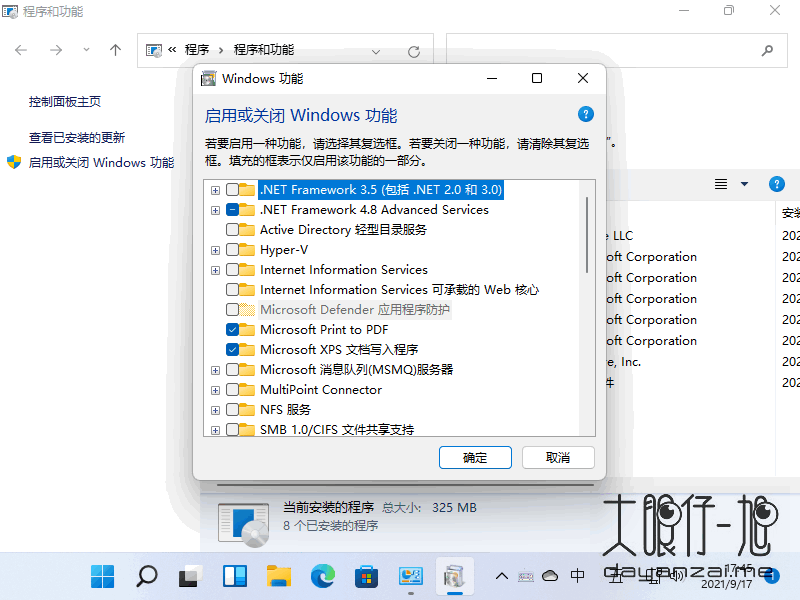 如何在 Windows 11/10 上启用 XPS 查看器